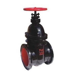 【Z44H、Z44Y 型 PN16~PN160 鋼制平行式雙閘板閘閥】價(jià)格,廠家,圖片,閥門,浙江中偉閥門制造-